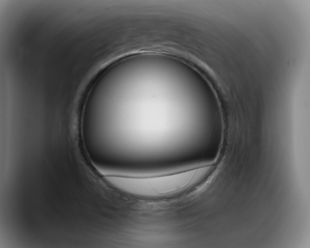 X0000089371506200706150833