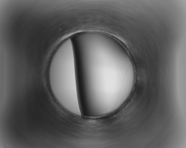 X0000089371507200706150833