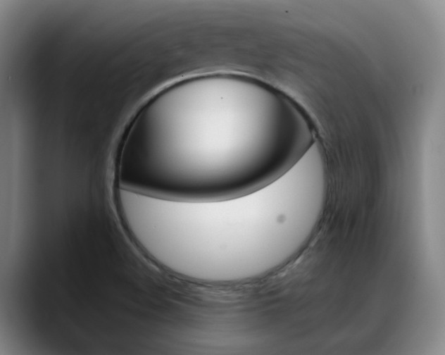 X0000089371508200706150833