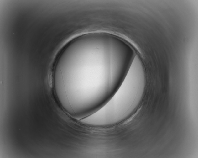 X0000089371510200706150833