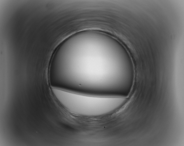 X0000089371513200706150833