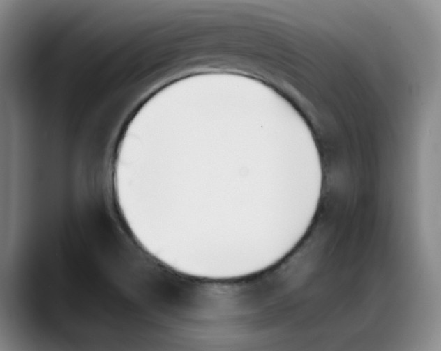 X0000089371514200706150833