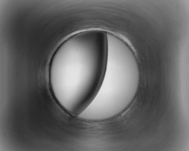 X0000089371516200706150833