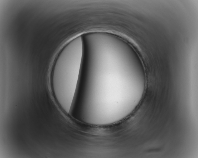 X0000089371517200706150833