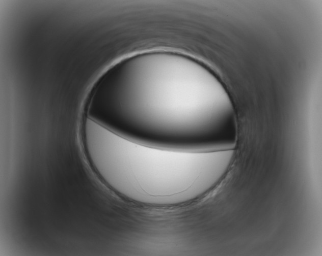 X0000089371518200706150833