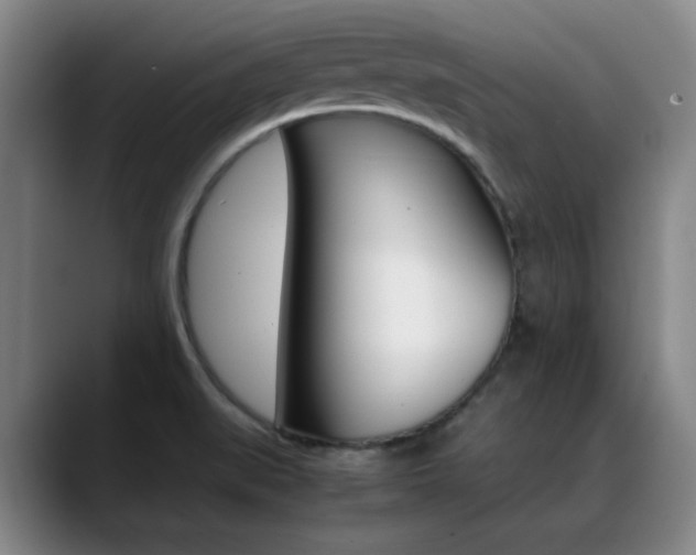 X0000089371519200706150833