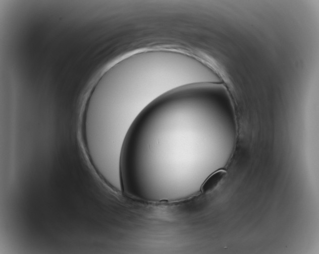 X0000089371520200706150833