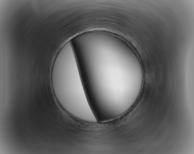 X0000089371521200706150833