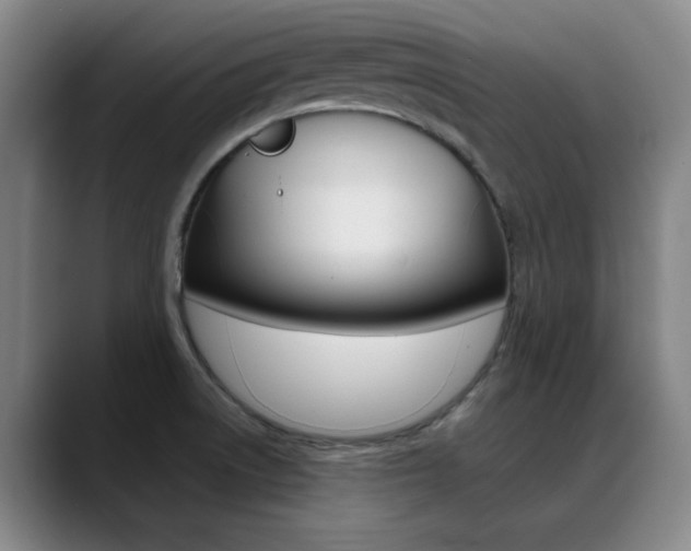 X0000089371522200706150833
