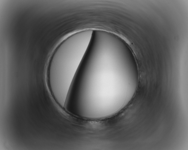 X0000089371523200706150833