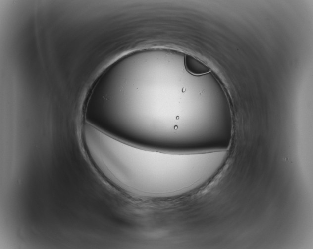 X0000089371525200706150833