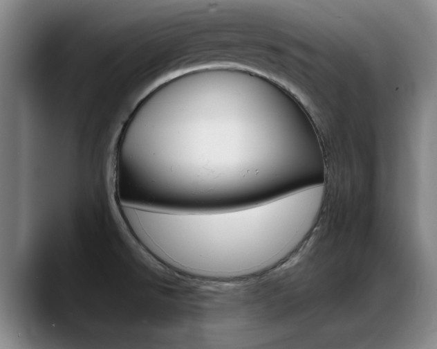 X0000089371526200706150833
