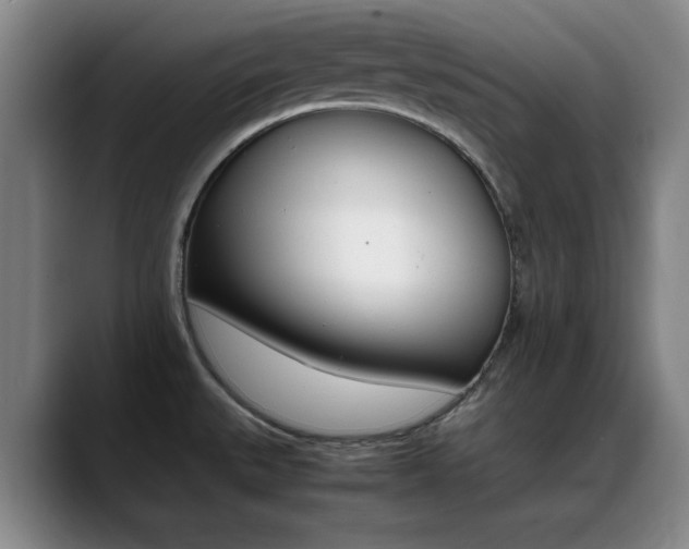 X0000089371527200706150833