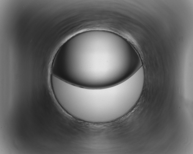 X0000089371528200706150833