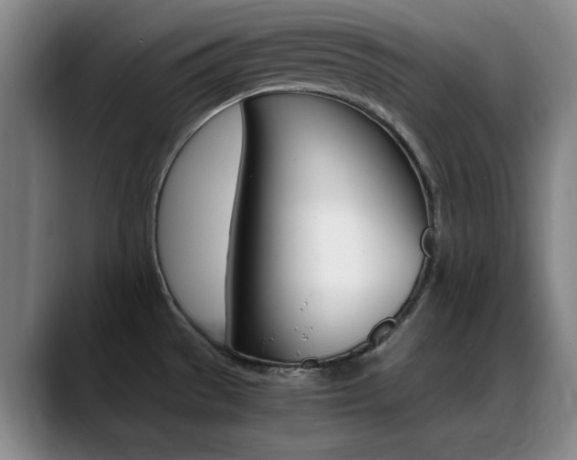 X0000089371529200706150833
