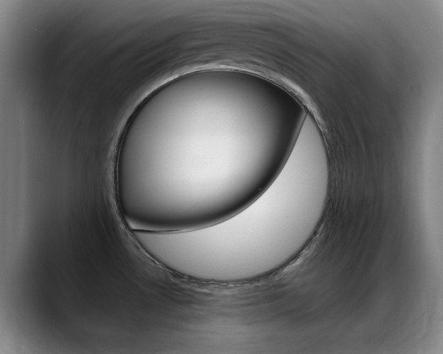 X0000089371530200706150833