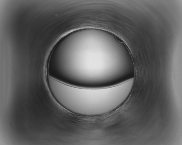 X0000089371531200706150833
