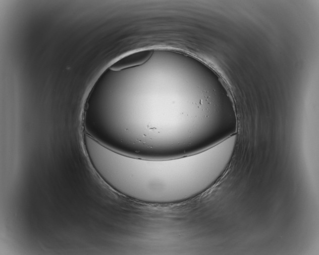 X0000089371532200706150833