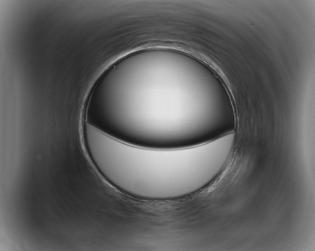 X0000089371533200706150833