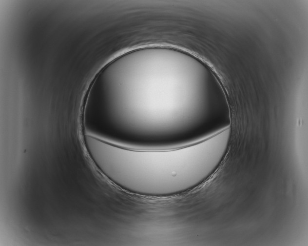 X0000089371534200706150833
