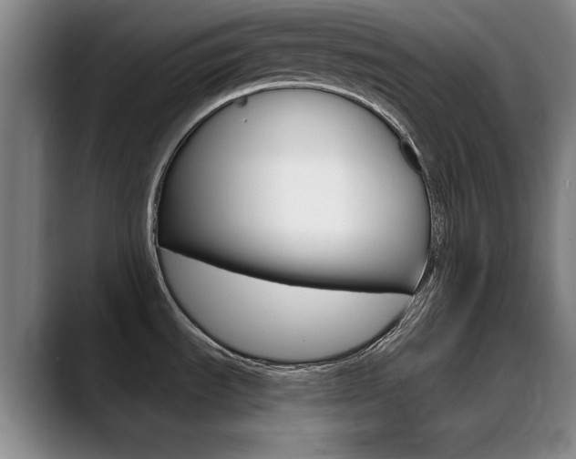 X0000089371535200706150833