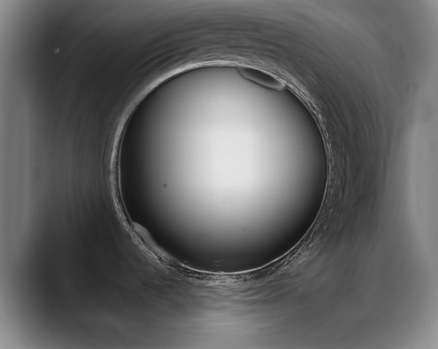 X0000089371536200706150833