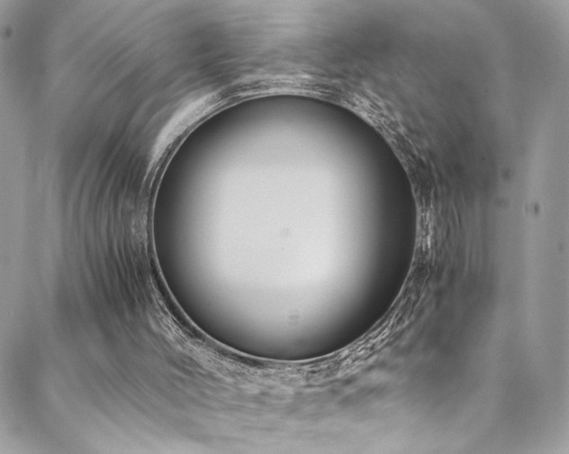 X0000089370004200706151210
