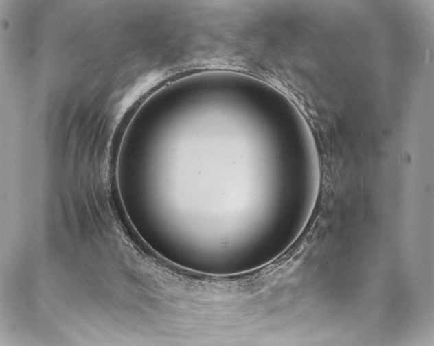X0000089370008200706151210