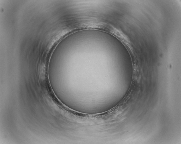 X0000089370012200706151210