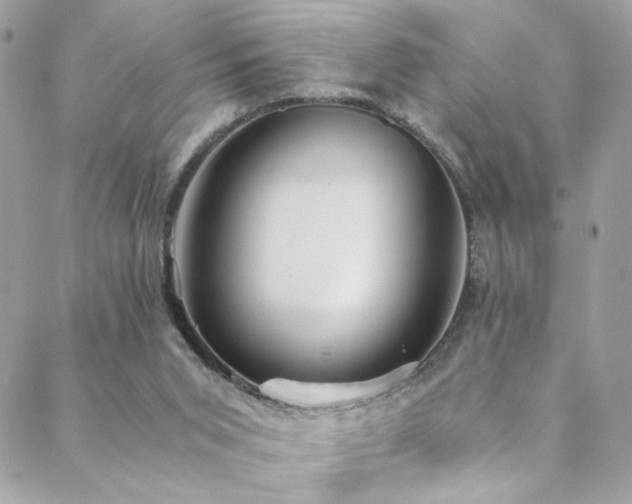X0000089370015200706151210
