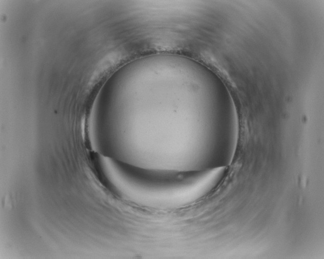 X0000089370019200706151210