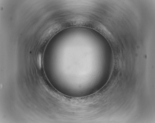 X0000089370022200706151210