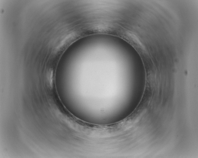 X0000089370024200706151210