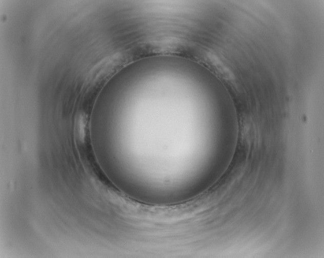 X0000089370026200706151210