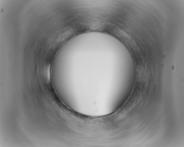 X0000089370028200706151210
