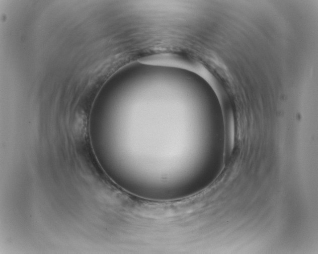 X0000089370029200706151210