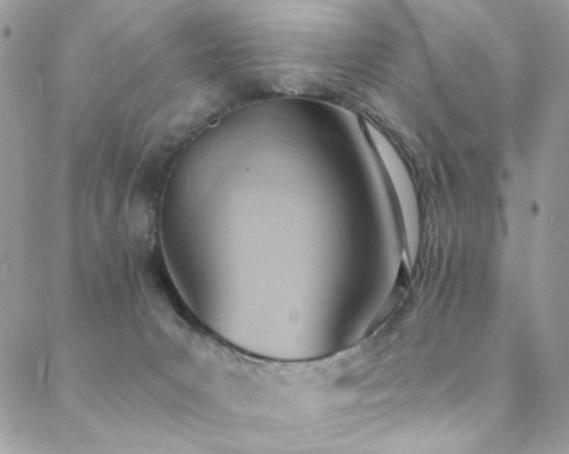 X0000089370031200706151210