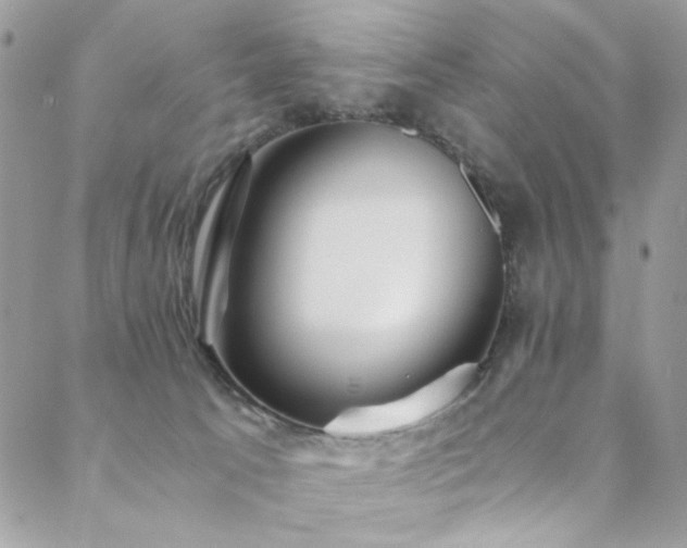 X0000089370033200706151209