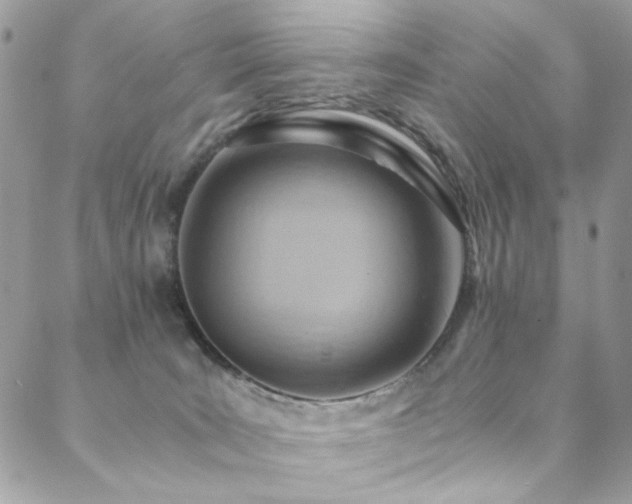 X0000089370035200706151209