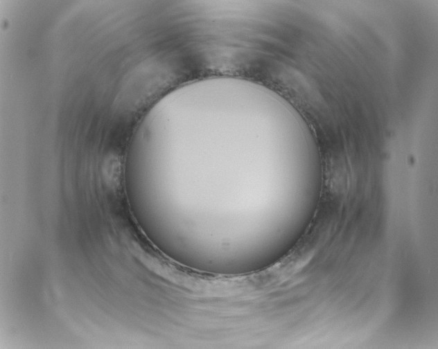 X0000089370036200706151209