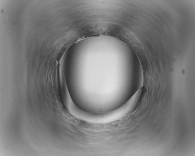 X0000089370037200706151209