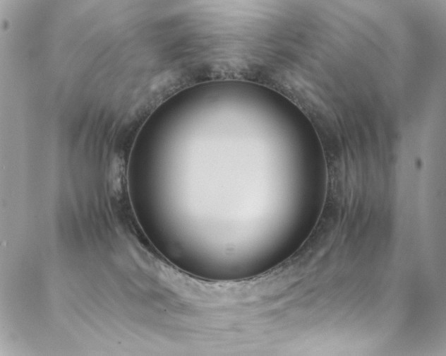 X0000089370038200706151209
