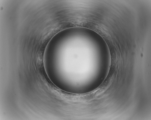 X0000089370040200706151209