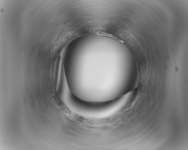 X0000089370041200706151209