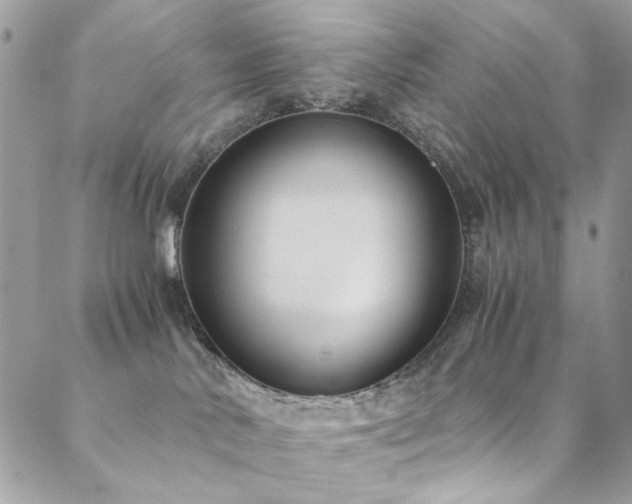 X0000089370042200706151209