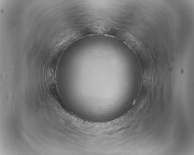 X0000089370043200706151209