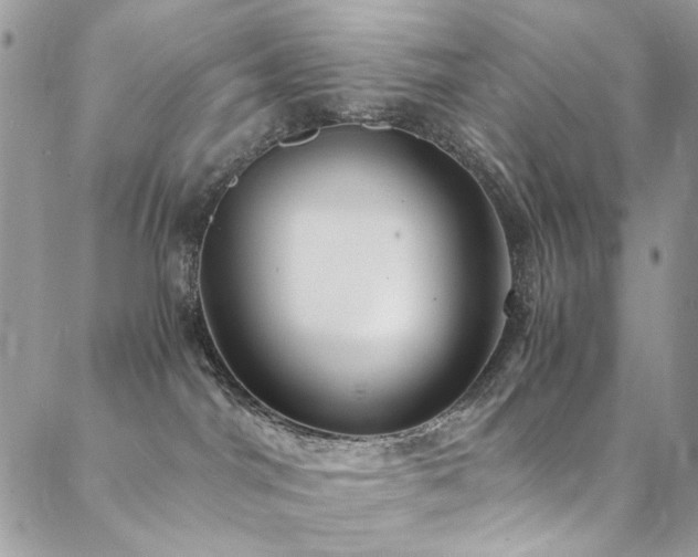 X0000089370044200706151209