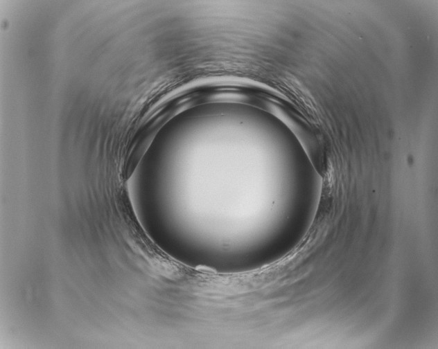 X0000089370045200706151209