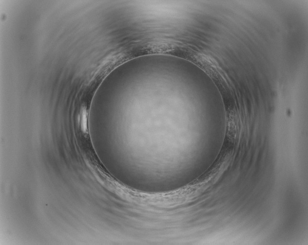 X0000089370046200706151209