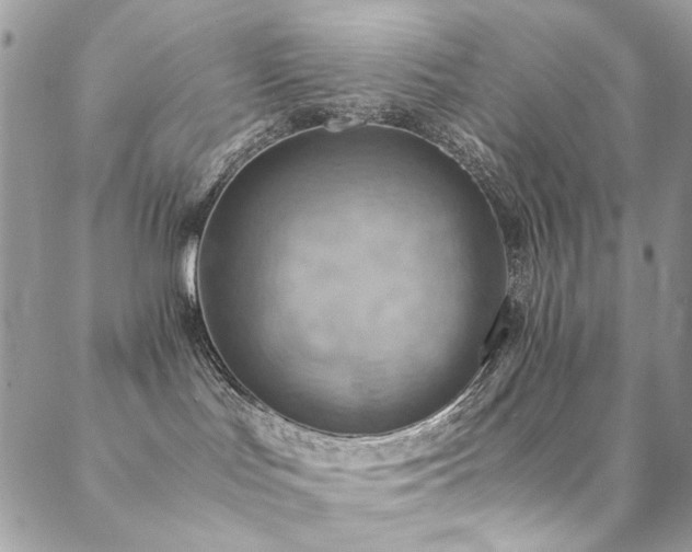 X0000089370047200706151209